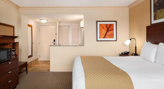 Двухместный номер Accessible DoubleTree by Hilton Hotel Dallas - Love Field