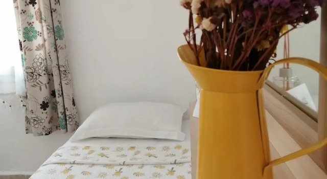 Трёхместный номер Standard Defne Ev Hotel