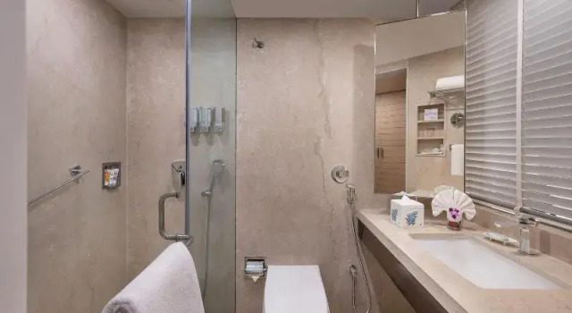 Двухместный номер Executive Welcomhotel by ITC Hotels, Rama International, Aurangabad