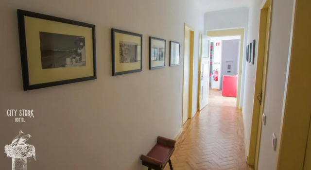 Кровать в общем номере City Stork Hostel