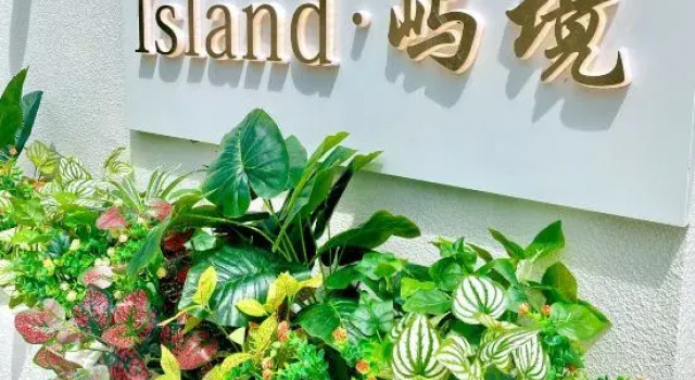 The Island private soup hotel, Book Hotel 3-stjernede hoteller i Siguniangshan, 3*