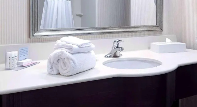 Двухместная студия Hampton Inn & Suites by Hilton Edmonton International Airport