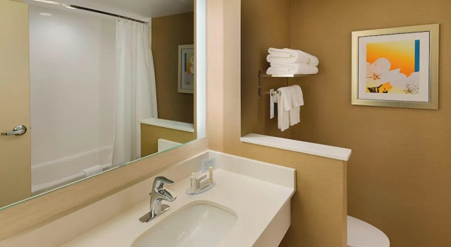 Люкс Fairfield Inn & Suites by Marriott Abingdon