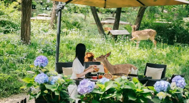 Zhi Resort Beijing, Book Ferieresort Hoteller i Beijing Province med parkering, Parkering