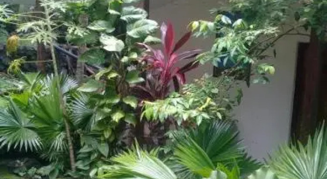Hotel Finca Santo Domingo, Book Hotel Hotels in Rivas with Parking, Parking