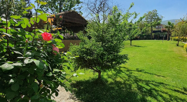 Номер Economy Sapanca Aqua Wellness Spa Hotel