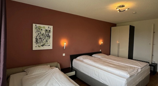 Двухместный номер Comfort Jura Sport & Spa Resort