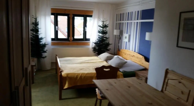 Номер Standard Hotel & Landgasthof Zur Fichte