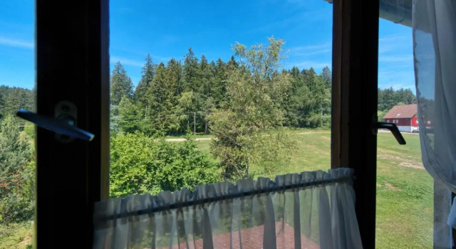 Двухместный номер Classic Landgasthof Zum Schwanen