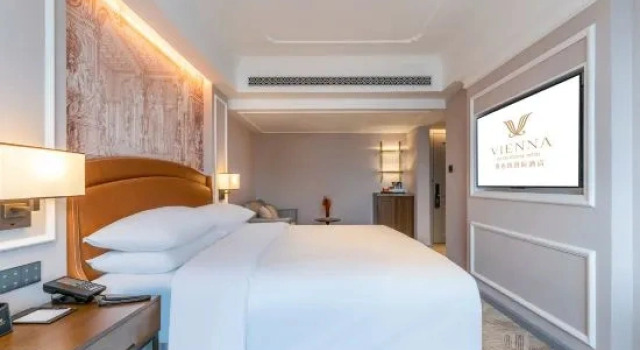 Капсула Luxury Vienna International Hotel (Tianjin Drum Tower Flagship Hotel)