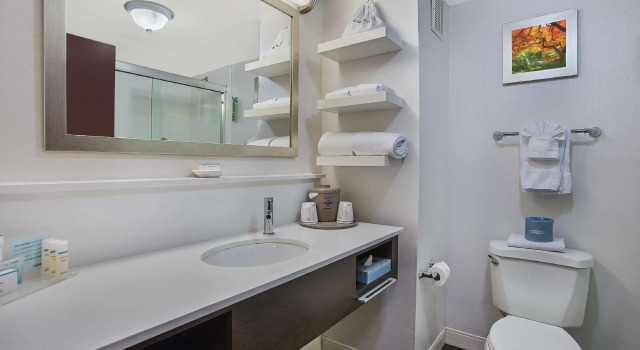 Номер Standard Hampton Inn Conyers