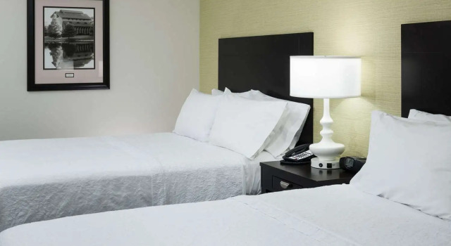Номер Standard Hampton Inn & Suites Gainesville Downtown University