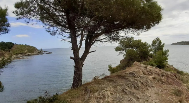 CAP d OSNE - BANYULS SUR MER - 2MN PLAGE, Забронировать Апартаменты/квартира Апартаменты Баньюль-сюр-Мер, Апартаменты/квартира