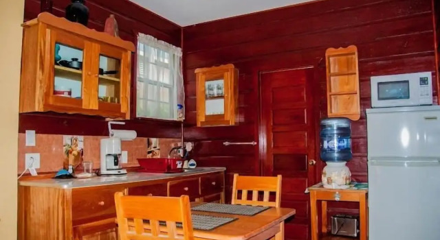 Апартаменты Цокольный этаж Caye Caulker Vacation Homes