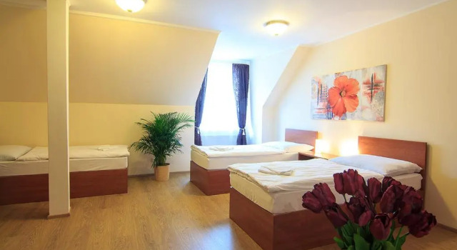 Standard Dreier Zimmer Penzion U Čejpu