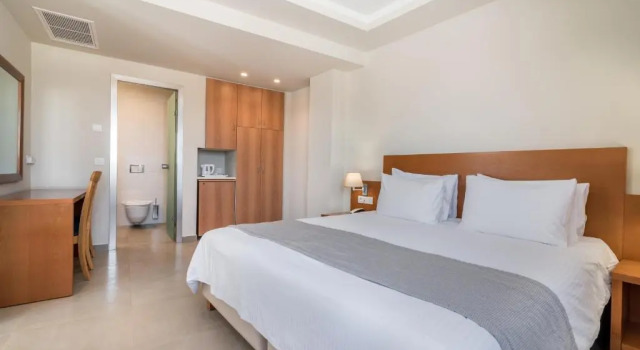 Двухместный номер Superior Hotel Palmyra