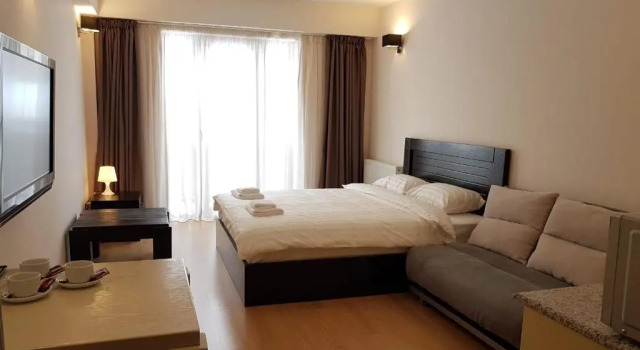 Студия Happy Holidays Apartments in New Gudauri
