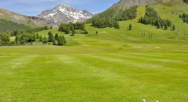 Апартаменты с видом на горы La Stella Alpina