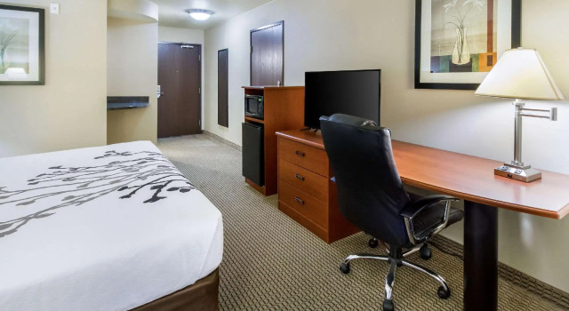 Двухместный номер Standard Sleep Inn & Suites Rapid City