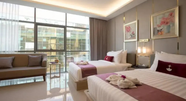 Номер Standard Elegant Airport Hotel