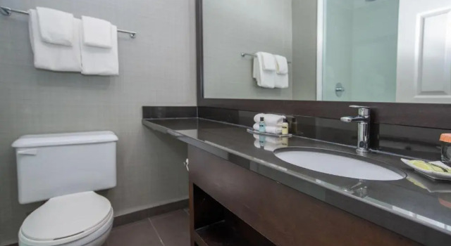 Двухместный люкс Sandman Hotel Red Deer