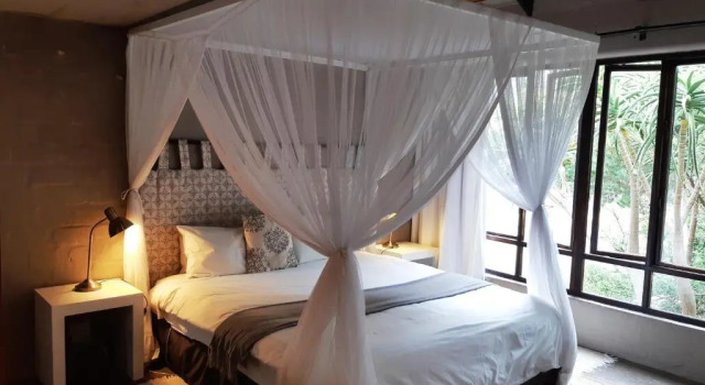 Апартаменты с 2 комнатами Hornbill House Self Catering Accommodation