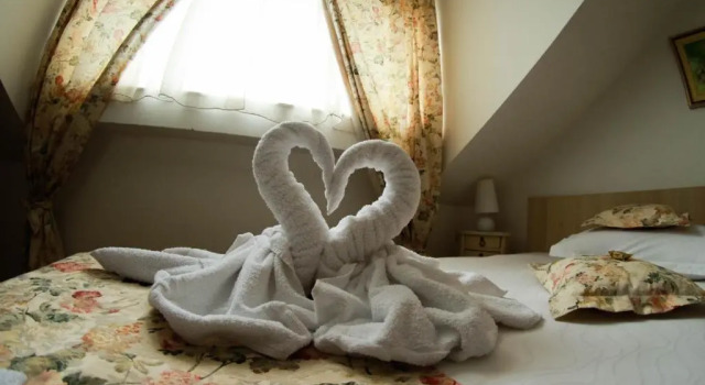 Номер Standard Garni Hotel Andric