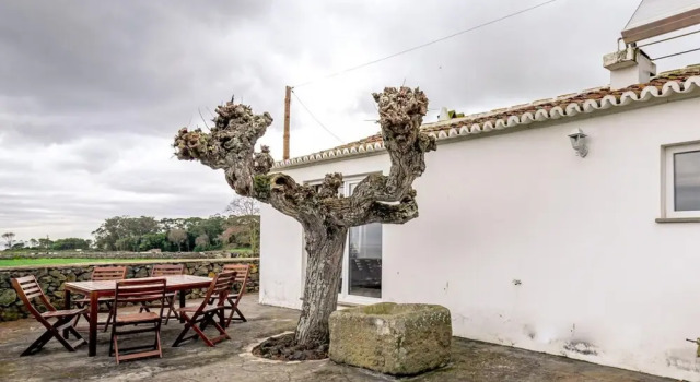 Коттедж Casa dos Cal os in S o Mateus da Calheta