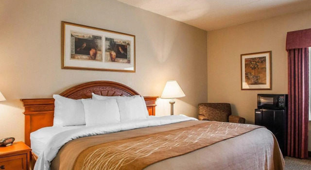 Номер Standard Comfort Inn Festus-St Louis South