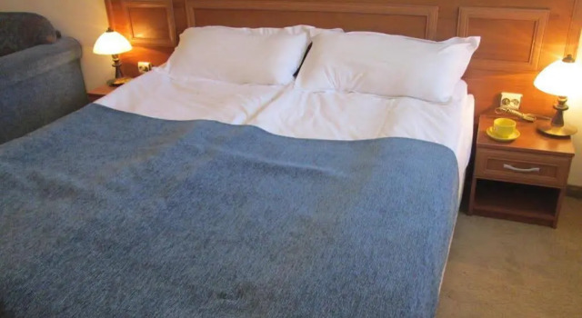Alexander Services Ski Apartments, Prenota Appartamento Hotel a Blagoevgrad con piscina, Piscina