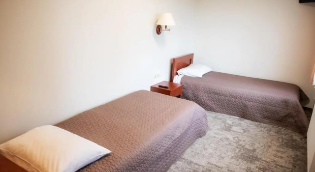 Habitación Estándar Vingis