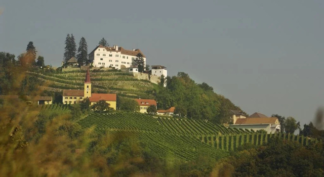 Schloss Kapfenstein