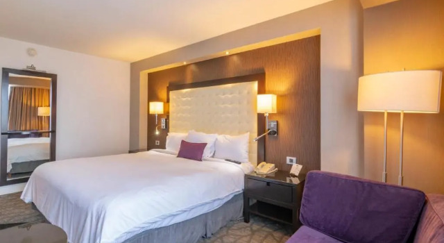 Двухместный номер Deluxe Hotel Lucerna Tijuana