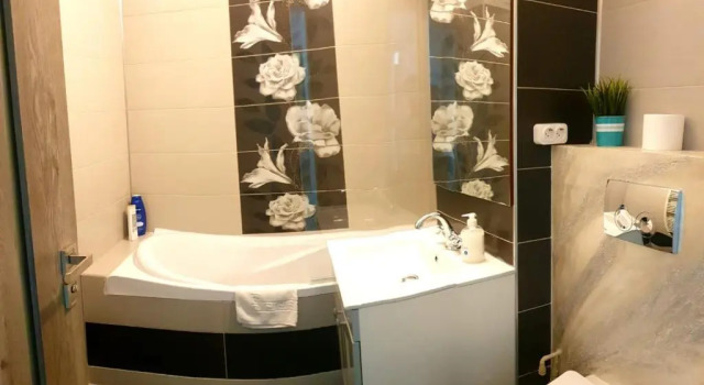 Апартаменты Apartament Central Radu