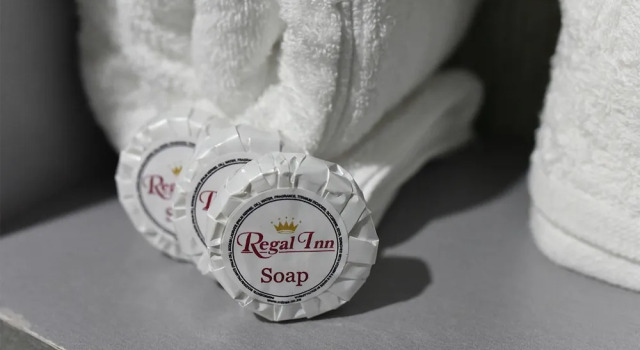 Номер Standard Regal Inn Umhlanga Gateway