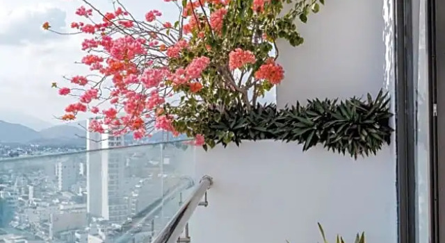 Трёхместный номер Standard с балконом LeMore Hotel Nha Trang