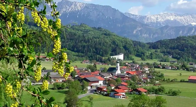 Номер Standard Hotel & Gasthaus Dresch