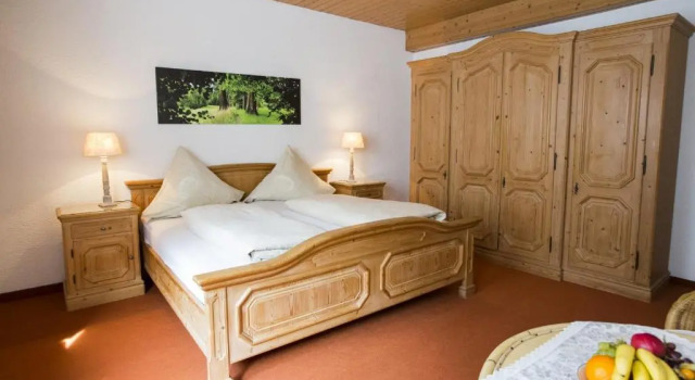 Номер Standard Hotel-Pension-Waldblick Garni