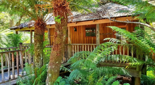 Шале Lemonthyme Wilderness Retreat