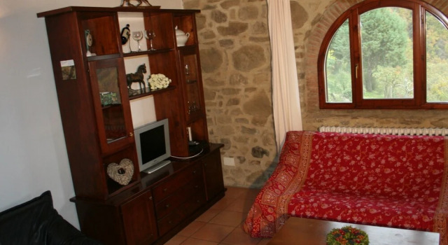 Cosy apartment in the well known Chianti area, with swimming pool and terrace.