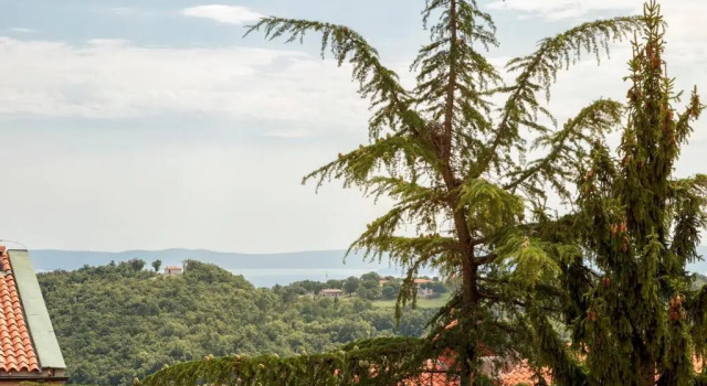 Deluxe Dvoulůžkový s manželskou postelí Apartmá Terra Residence