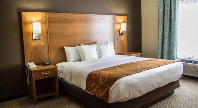 Одноместный номер Standard Comfort Suites Hotel and Conference Center