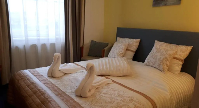Двухместный номер Standard Wellness Hotel Staré Město