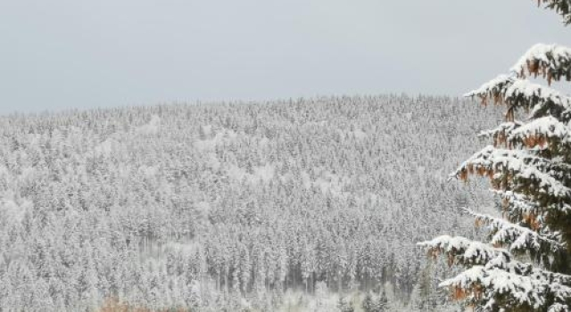 Höhengasthof Rössle, Reserva ahora Hotel Hoteles en Baden-Wurtemberg con aparcamiento, Aparcamiento