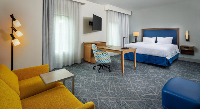 Студия Hampton Inn & Suites-Asheville Biltmore Village, NC