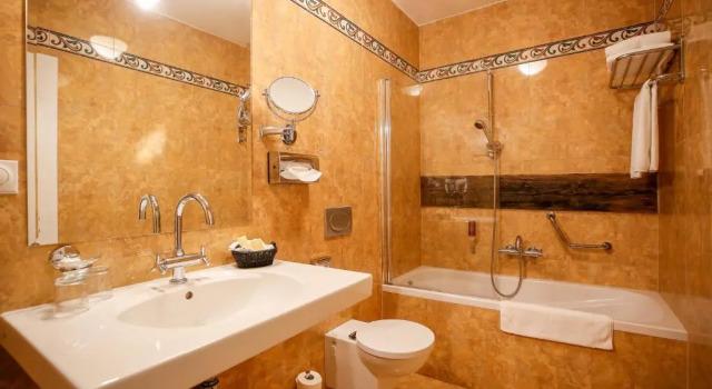 Двухместный номер Standard LH Hotel Dvořák Tábor Congress & Wellness