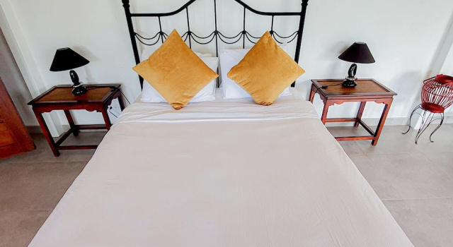 Люкс The Golden Frog Inn
