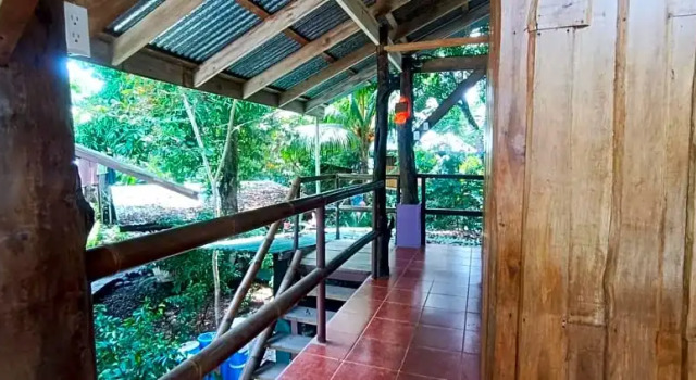 Номер Standard Flutterby House Hostel