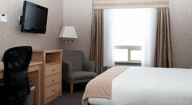 Номер Standard Paradise Inn and Suites