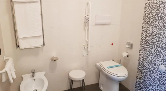 Двухместный номер Executive Hotel Montini Linate Airport
